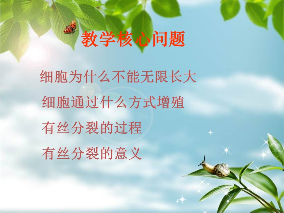 细胞增殖的过程ppt课件.ppt_第2页