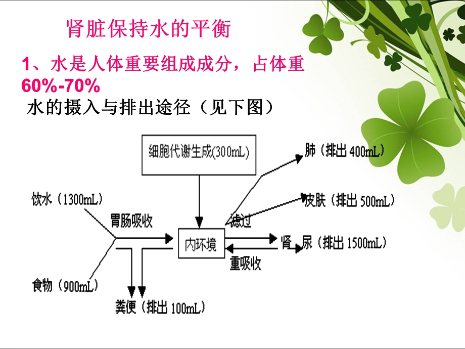 肾脏在保持水和酸碱平衡中的作用ppt课件.ppt_第3页