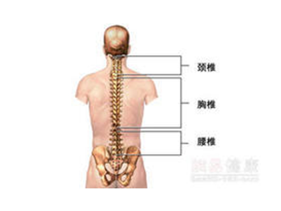 腰椎间盘突出症ppt课件.ppt_第3页