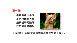 统编(部编)版四年级语文下册13 猫ppt课件.pptx