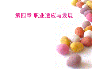 职业适应与发展ppt课件.ppt