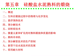 第五章 硅酸盐水泥熟料的煅烧ppt课件.ppt