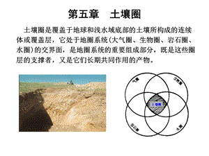 第五章土壤圈ppt课件.ppt