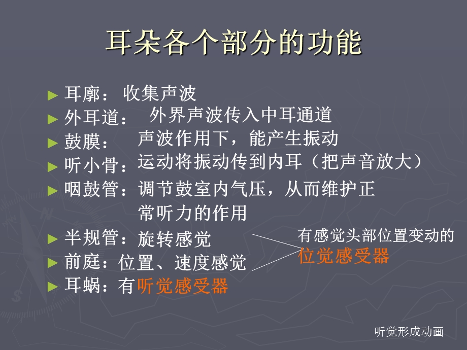 耳的结构ppt课件.ppt_第3页