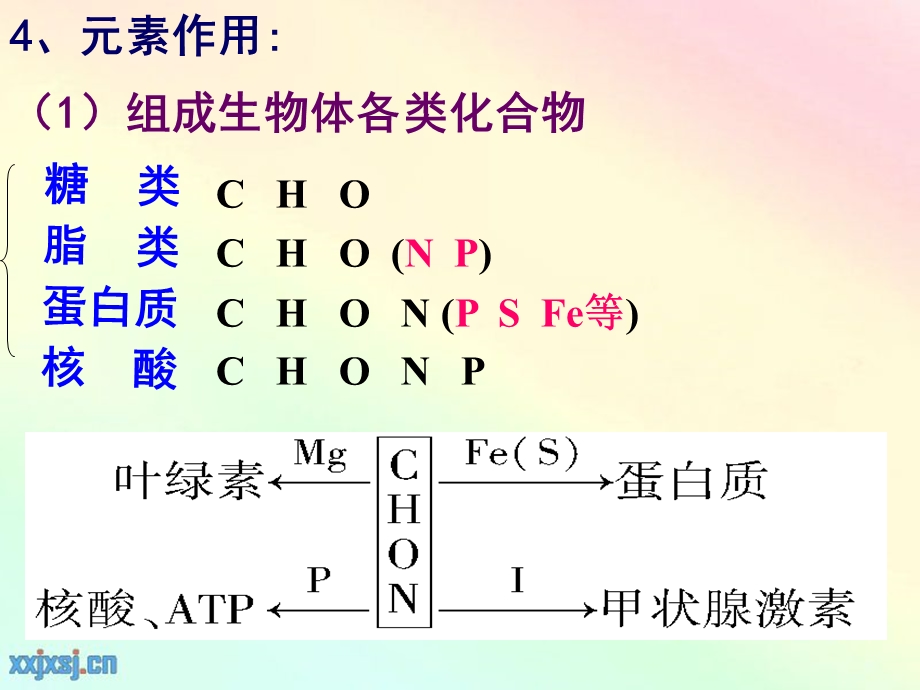 生物一轮复习组成细胞的元素和化合物、无机物ppt课件.ppt_第3页