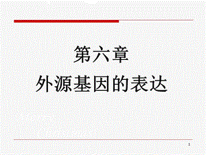 第六章外源基因的表达ppt课件.ppt