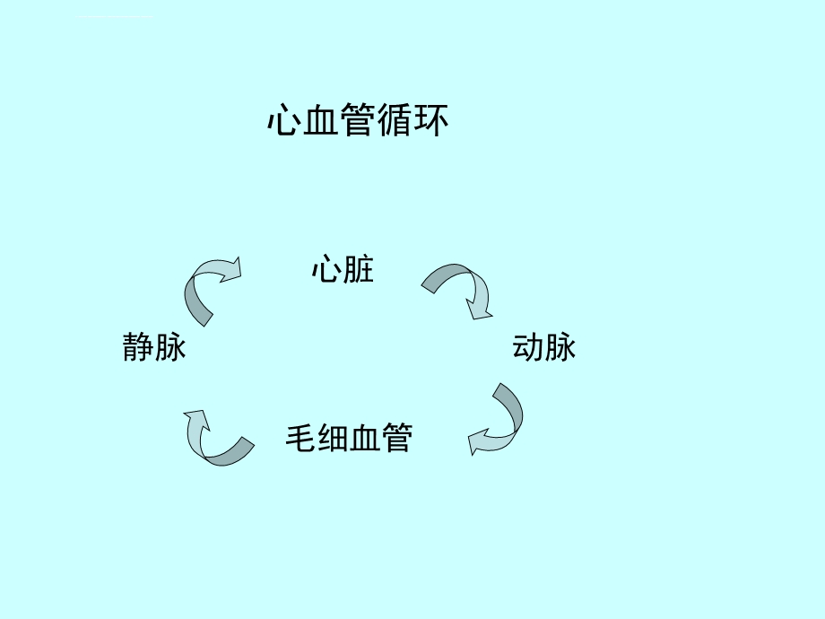 组织胚胎学ppt课件 循环系统.ppt_第3页