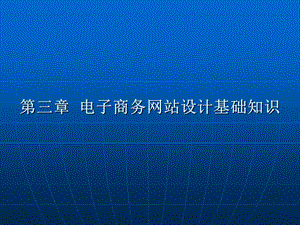 自考《电子商务网站设计原理》教案ppt课件第三章.ppt