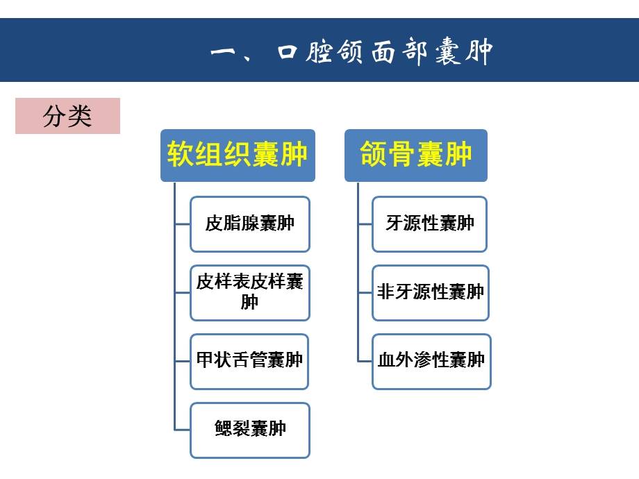 第二节孙坚口腔颌面部良性肿瘤ppt课件.ppt_第2页