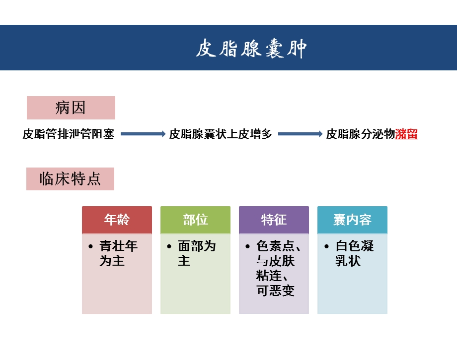 第二节孙坚口腔颌面部良性肿瘤ppt课件.ppt_第3页