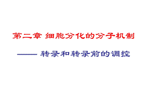 第二章 细胞分化的分子机制——转录和转录前调控ppt课件.ppt