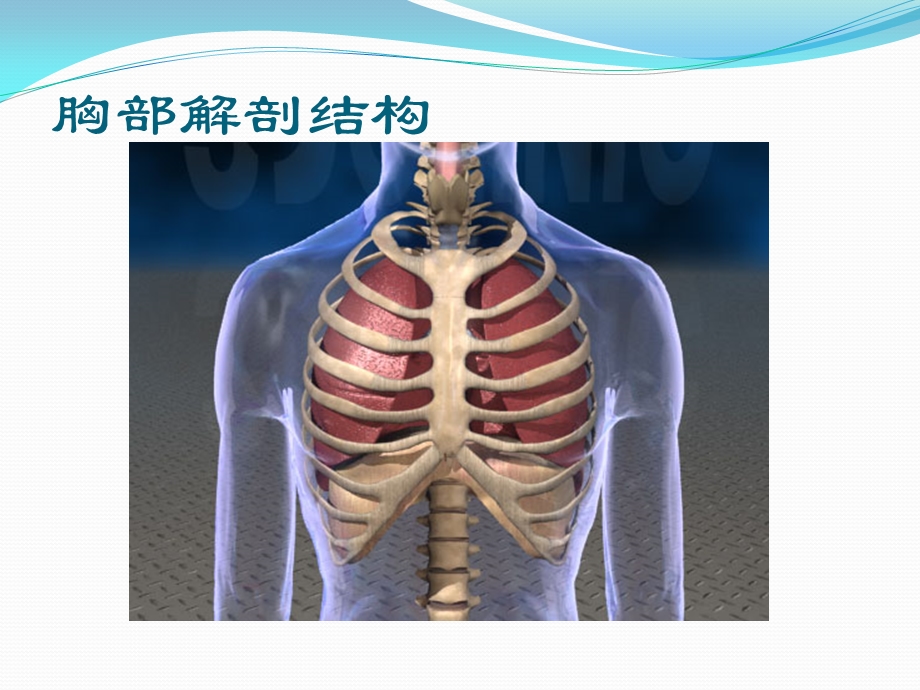 胸腔闭式引流ppt课件.ppt_第3页