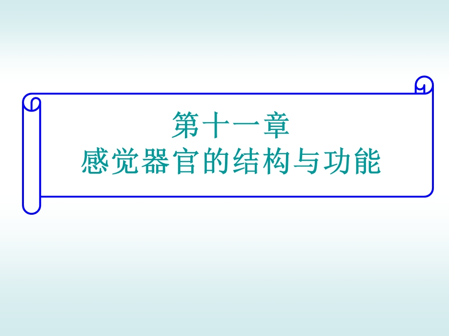 第十一章 感觉器官的结构与功能ppt课件.pptx_第1页