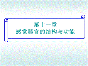 第十一章 感觉器官的结构与功能ppt课件.pptx