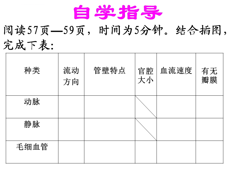 第二节 血流的管道—血管(区公开课ppt课件).ppt_第3页