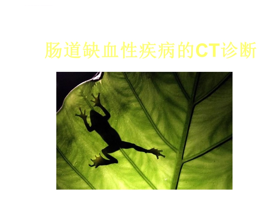 肠道缺血性疾病的CT诊断ppt课件.ppt_第1页