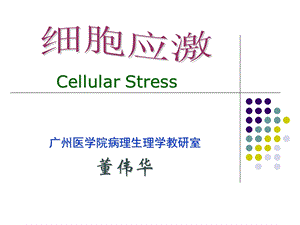 细胞应激 参考ppt课件.ppt