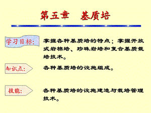 第五章基质栽培技术ppt课件.ppt