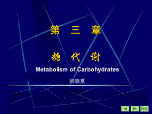 糖代谢 ppt课件.ppt