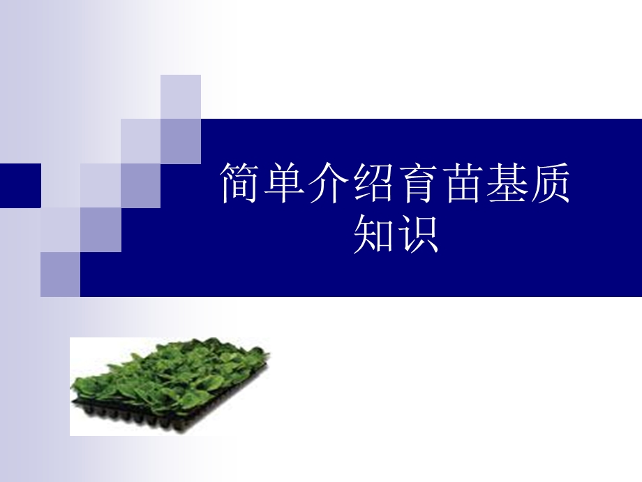 育苗基质功能及介绍 课件.ppt_第1页