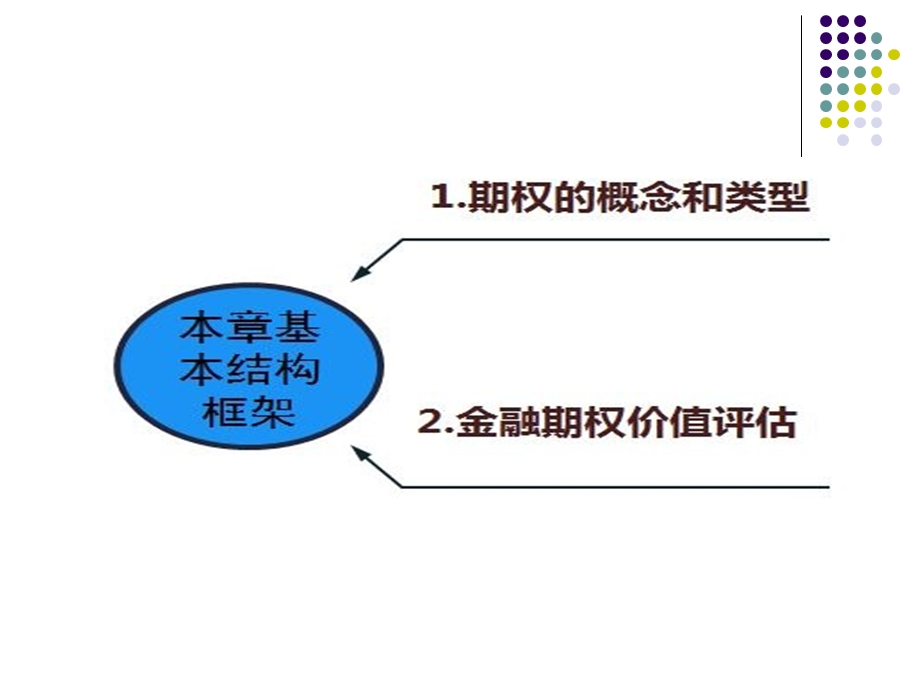 第八章 期权价值评估ppt课件.ppt_第2页