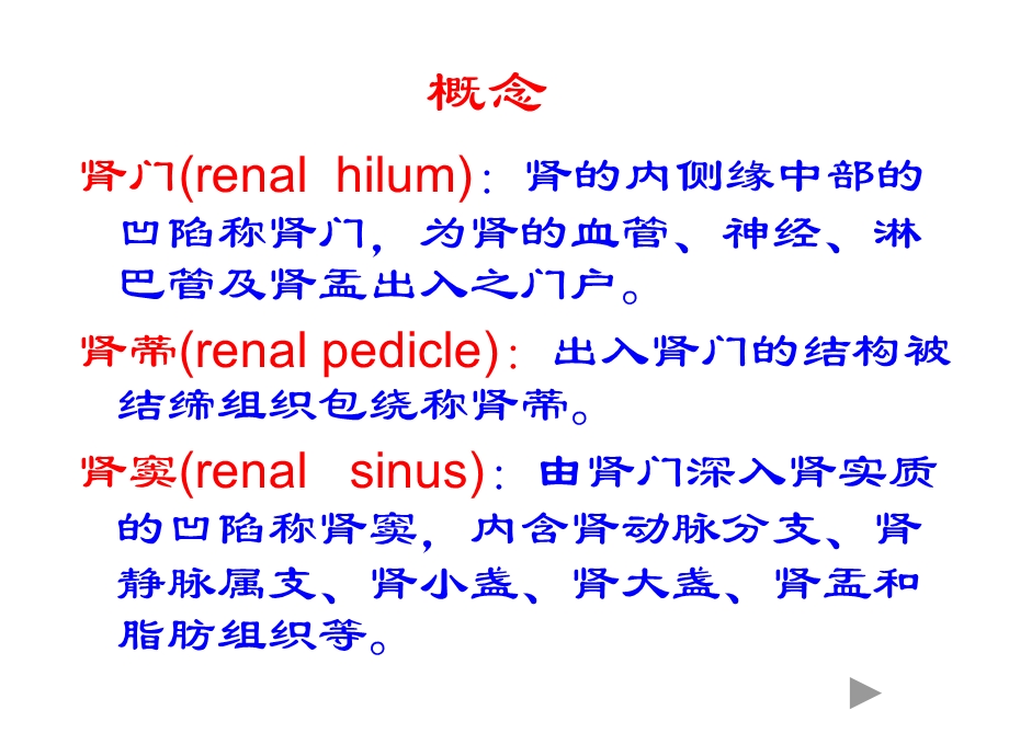 肾脏解剖结构图ppt课件.ppt_第3页