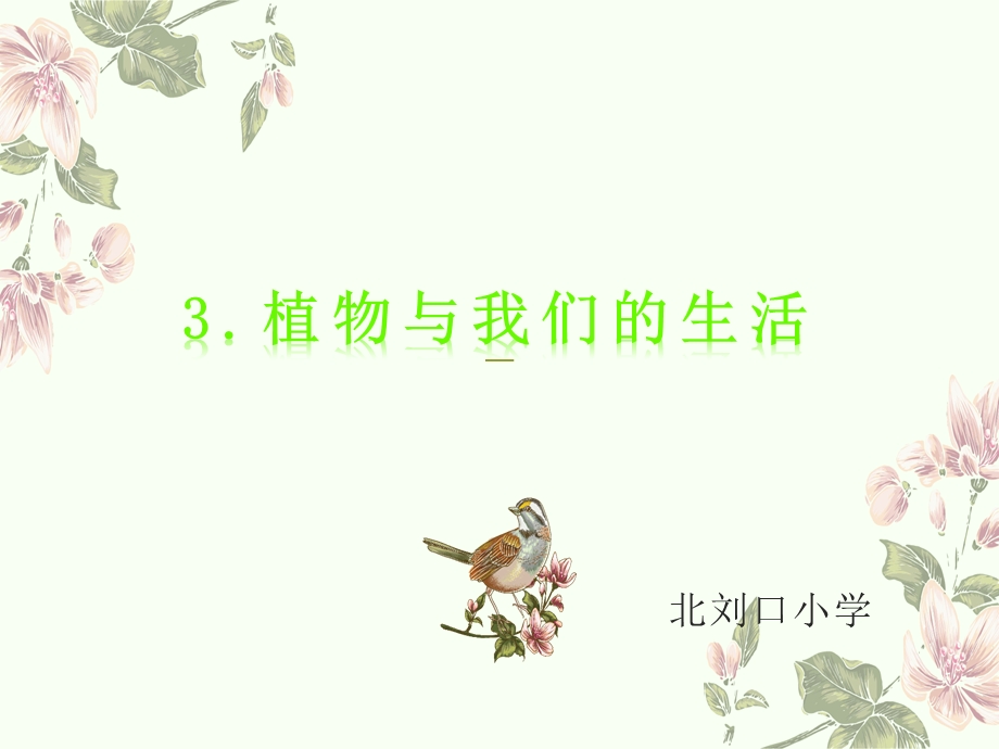 第三课 植物与我们的生活ppt课件.ppt_第1页