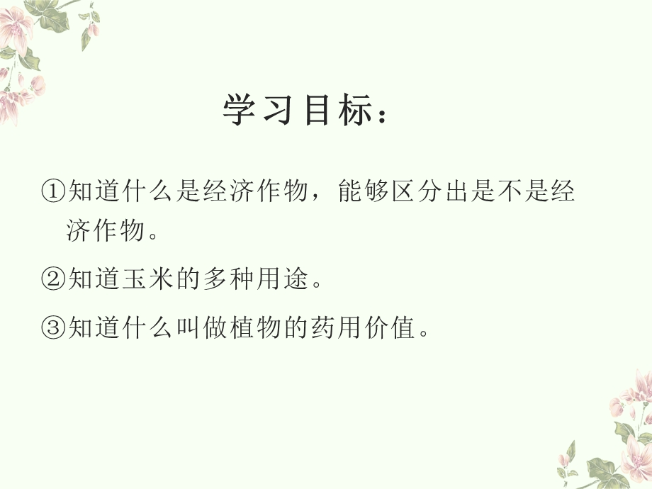 第三课 植物与我们的生活ppt课件.ppt_第2页