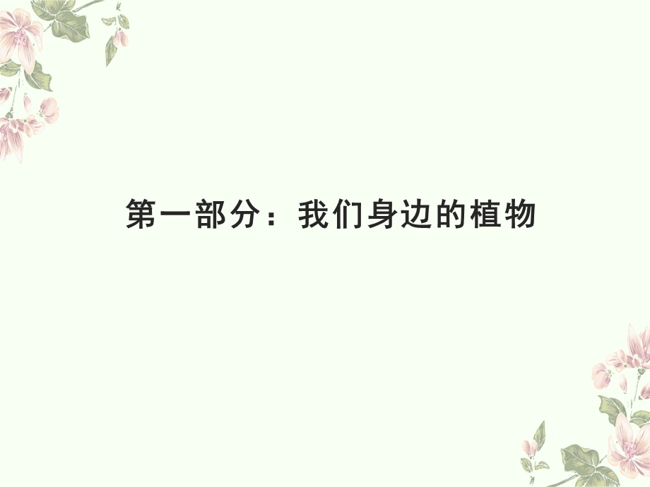 第三课 植物与我们的生活ppt课件.ppt_第3页