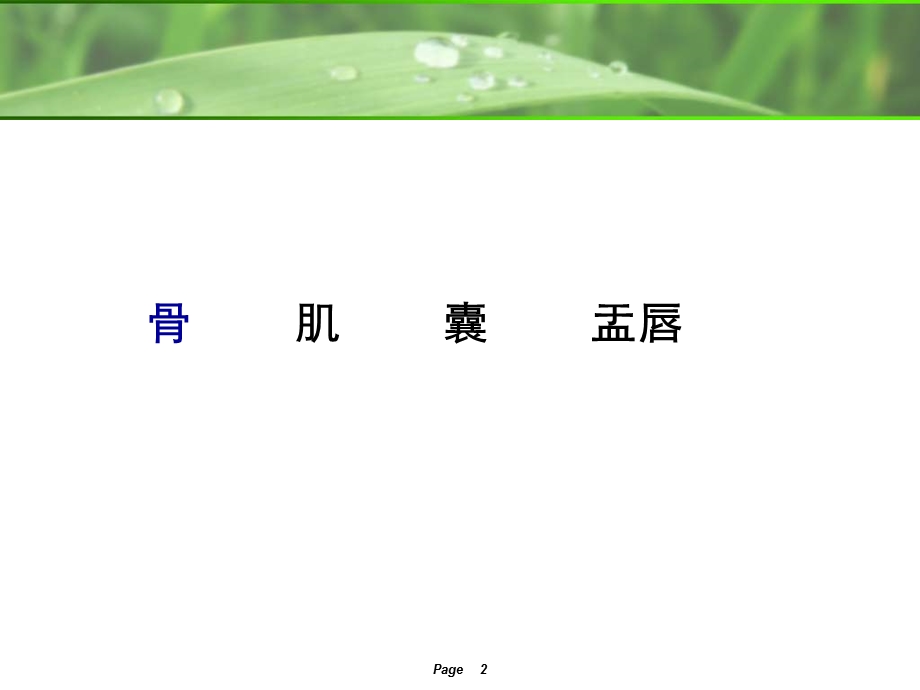 肩关节MRI解剖ppt课件.ppt_第2页