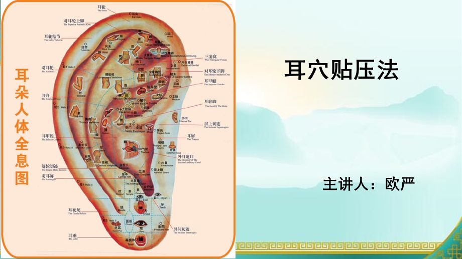 耳穴贴压更改版ppt课件.pptx_第1页