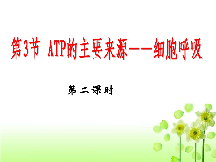 细胞呼吸 一轮复习总结ppt课件.ppt_第1页