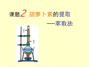 课题2 胡萝卜素的提取ppt课件.ppt