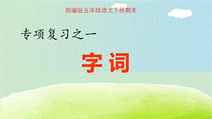 部编版五年级语文下册期末专项复习：字词专项ppt课件.ppt