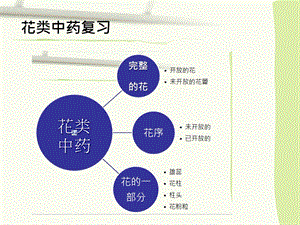 果实种子类中药鉴定ppt课件.pptx