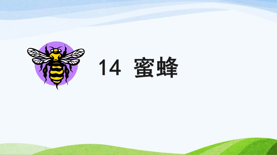 部编版三年级下册语文14.蜜蜂ppt课件.ppt_第2页