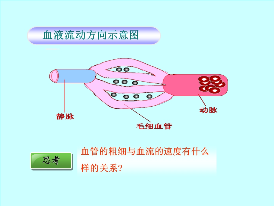 血流的管道 血管课件.ppt_第3页