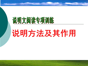 说明文阅读专项训练说明方法及其作用ppt课件.ppt