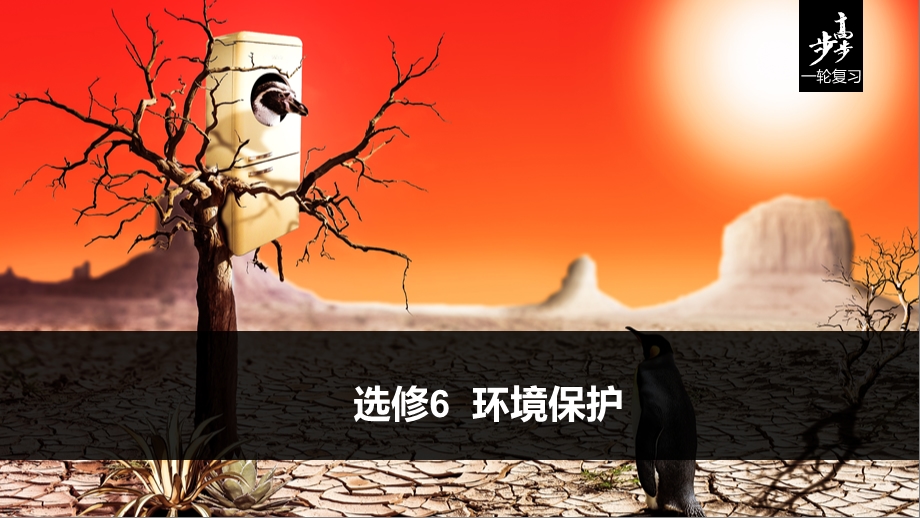 一轮复习 选修6环境保护ppt课件.pptx_第1页