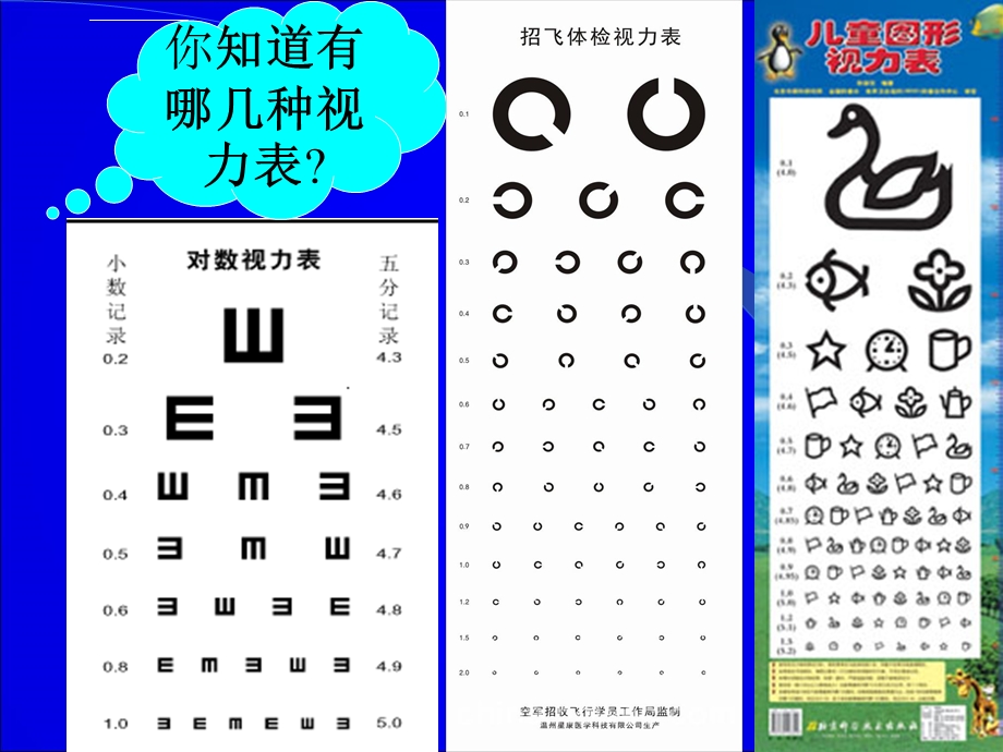 课题学习 制作视力表ppt课件.ppt_第3页