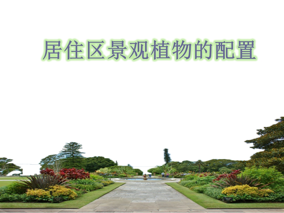 居住区植物配置ppt课件.ppt_第1页