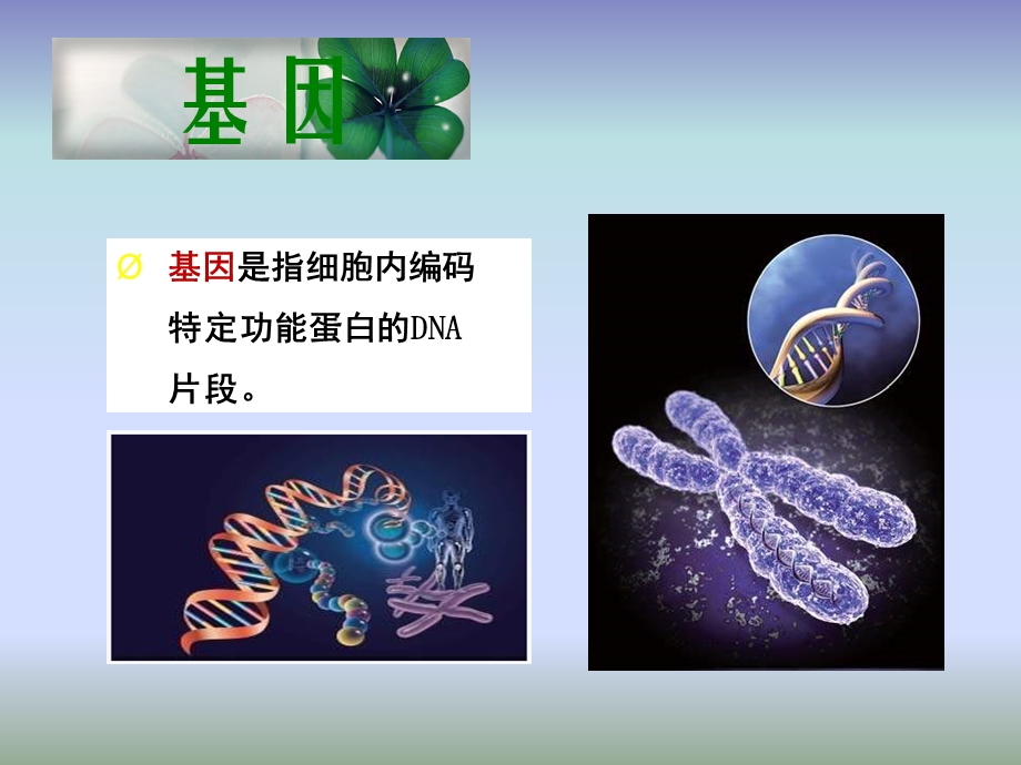 转基因植物 PPT课件.ppt_第1页