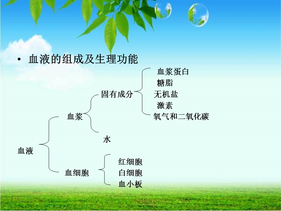 血常规解读ppt课件.ppt_第3页