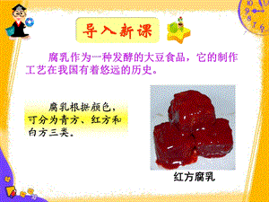 课题2 腐乳的制作ppt课件.ppt