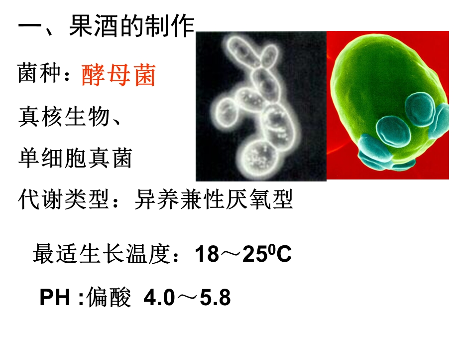 课题1 果酒果醋的制作ppt课件.ppt_第3页