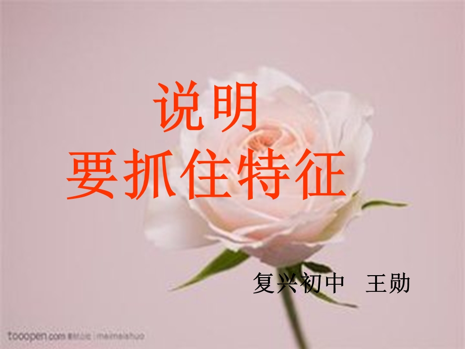 说明要抓住事物特征ppt课件.ppt_第1页