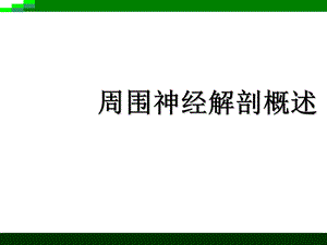 周围神经系统ppt课件.ppt