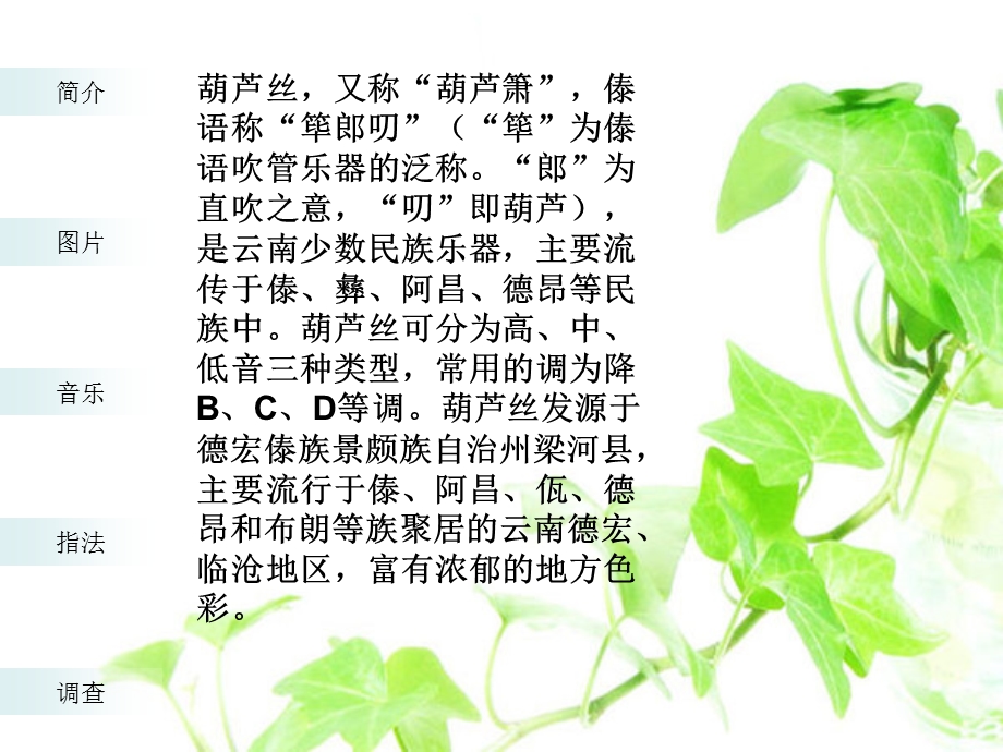 葫芦丝介绍 ppt课件.ppt_第2页