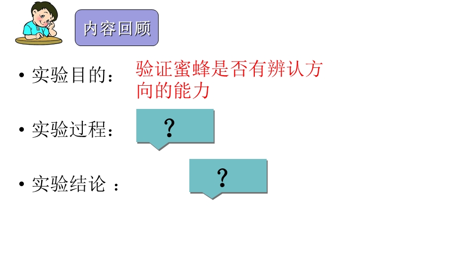 部编版三下语文14蜜蜂ppt课件.pptx_第3页