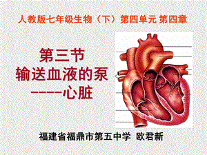 输送血液的泵 心脏ppt课件.ppt